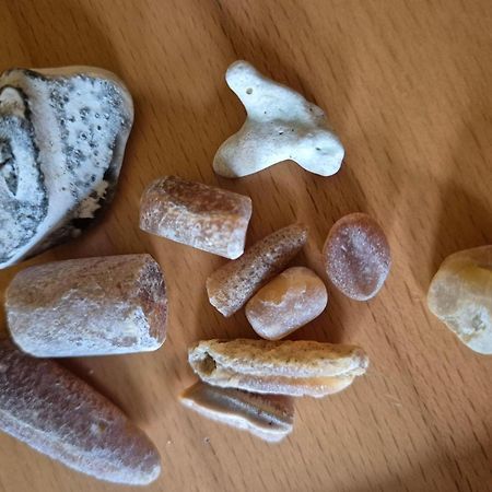 Ferienwohnung-Wildblume Petersdorf auf Fehmarn Zewnętrze zdjęcie