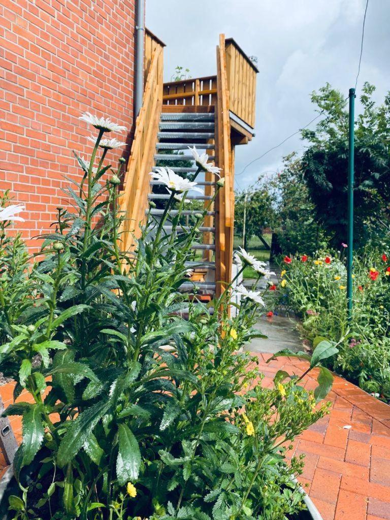 Ferienwohnung-Wildblume Petersdorf auf Fehmarn Zewnętrze zdjęcie