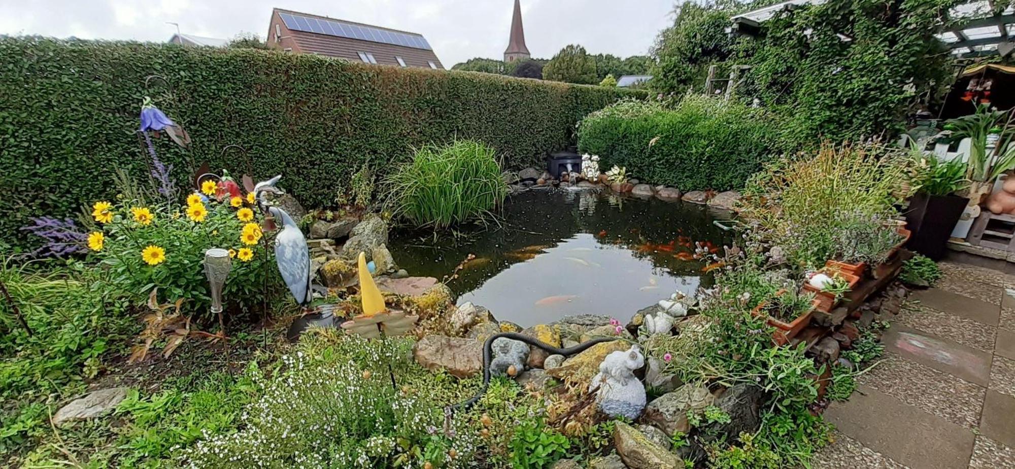 Ferienwohnung-Wildblume Petersdorf auf Fehmarn Zewnętrze zdjęcie